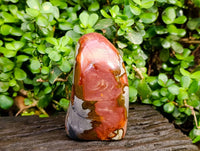 Polished Polychrome Jasper Standing Free Forms x 2 From NW Coast, Madagascar