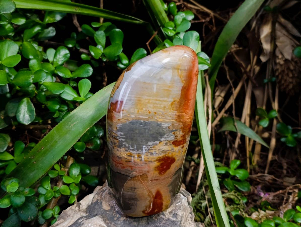 Polished Polychrome Jasper Standing Free Forms x 2 From NW Coast, Madagascar - Toprock Gemstones and Minerals 