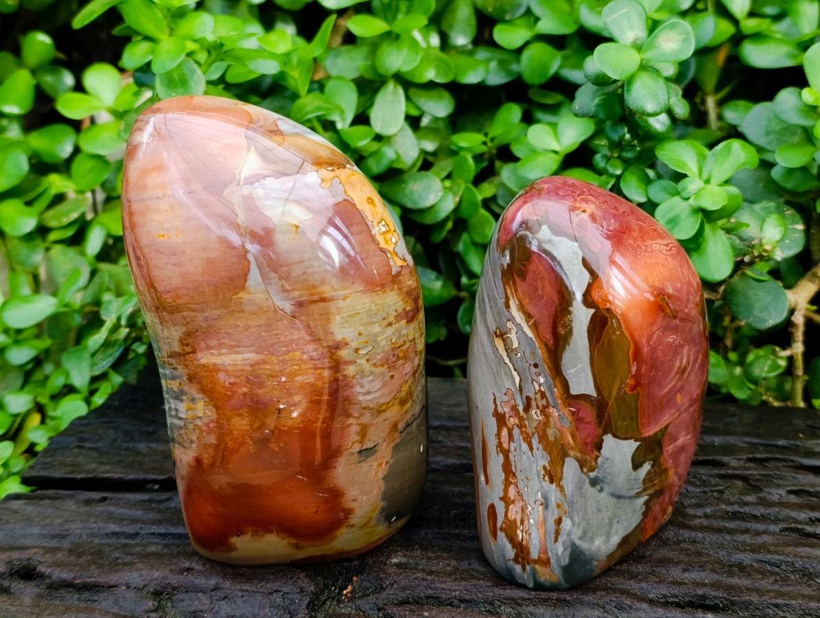 Polished Polychrome Jasper Standing Free Forms x 2 From NW Coast, Madagascar - Toprock Gemstones and Minerals 