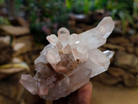 Natural Tangerine Quartz Clusters x 6 From Madagascar