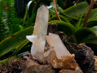 Natural Tangerine Quartz Clusters x 6 From Madagascar