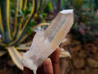 Natural Tangerine Quartz Clusters x 6 From Madagascar
