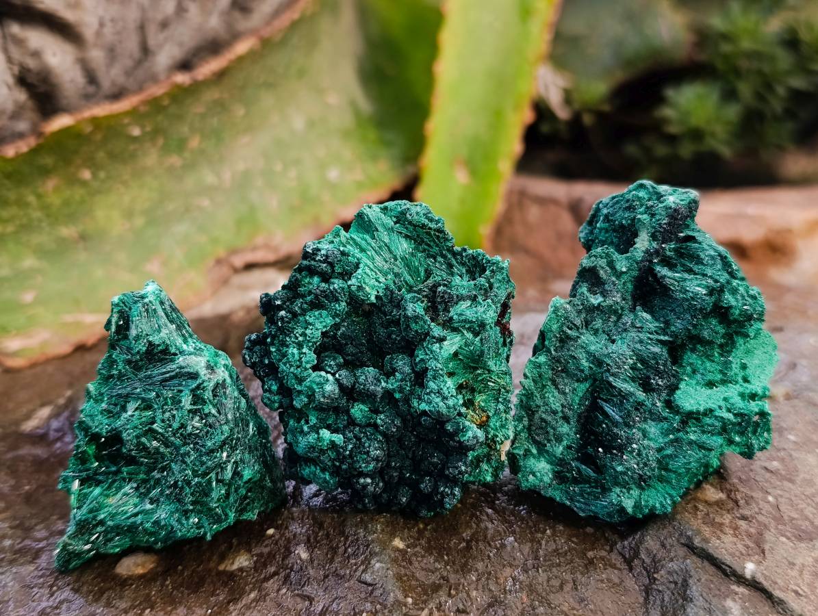 Natural Silky Malachite Specimens x 20 From Kasompe, Congo - Toprock Gemstones and Minerals 