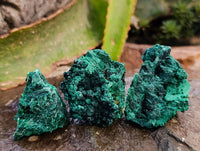Natural Silky Malachite Specimens x 20 From Kasompe, Congo