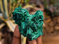 Natural Silky Malachite Specimens x 20 From Kasompe, Congo