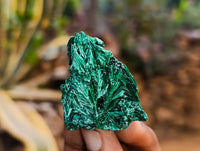 Natural Silky Malachite Specimens x 20 From Kasompe, Congo