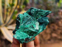 Natural Silky Malachite Specimens x 20 From Kasompe, Congo