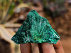 Natural Silky Malachite Specimens x 20 From Kasompe, Congo - Toprock Gemstones and Minerals 