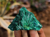 Natural Silky Malachite Specimens x 20 From Kasompe, Congo