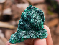 Natural Silky Malachite Specimens x 20 From Kasompe, Congo