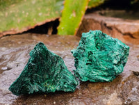Natural Silky Malachite Specimens x 20 From Kasompe, Congo