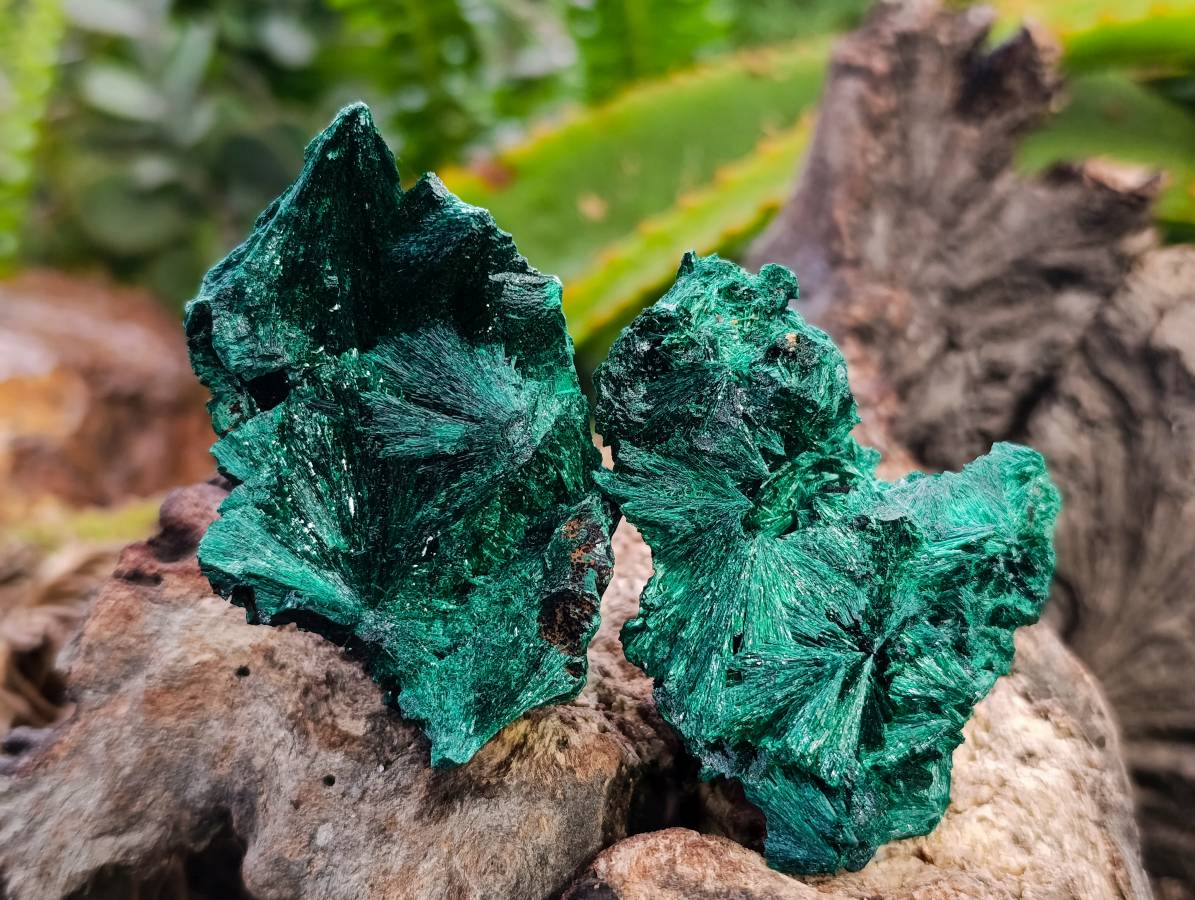 Natural Silky Malachite Specimens x 20 From Kasompe, Congo - Toprock Gemstones and Minerals 
