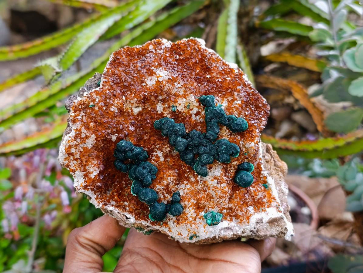 Natural Ball Malachite On Quartz Matrix Specimens x 2 From Mindingi Mine, Kambove, Congo - Toprock Gemstones and Minerals 