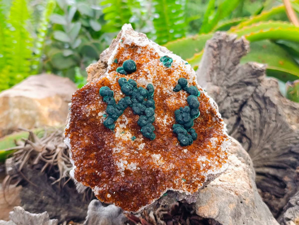 Natural Ball Malachite On Quartz Matrix Specimens x 2 From Mindingi Mine, Kambove, Congo - Toprock Gemstones and Minerals 