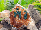 Natural Ball Malachite On Quartz Matrix Specimens x 2 From Mindingi Mine, Kambove, Congo - Toprock Gemstones and Minerals 