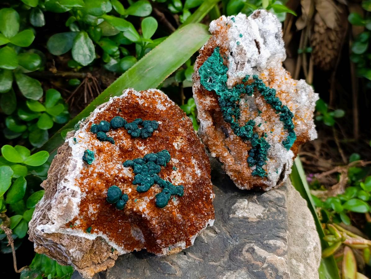Natural Ball Malachite On Quartz Matrix Specimens x 2 From Mindingi Mine, Kambove, Congo - Toprock Gemstones and Minerals 