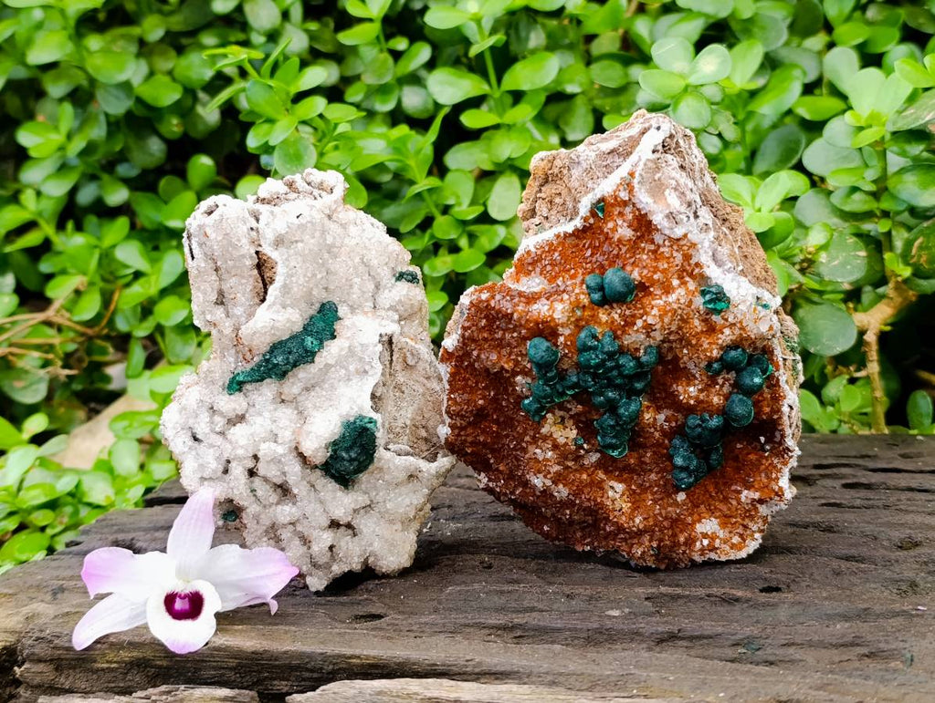 Natural Ball Malachite On Quartz Matrix Specimens x 2 From Mindingi Mine, Kambove, Congo - Toprock Gemstones and Minerals 