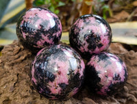 Polished Rhodonite Spheres x 6 From Ambindavato, Madagascar