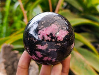 Polished Rhodonite Spheres x 6 From Ambindavato, Madagascar