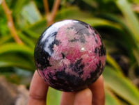 Polished Rhodonite Spheres x 6 From Ambindavato, Madagascar