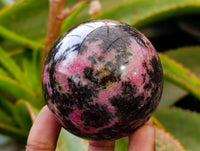 Polished Rhodonite Spheres x 6 From Ambindavato, Madagascar