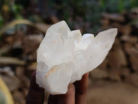 Natural Quartz Crystals And Clusters x 12 From Madagascar