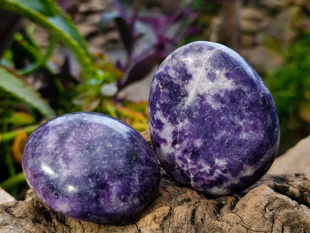 Polished Lepidolite Free Forms x 12 From Zimbabwe - Toprock Gemstones and Minerals 
