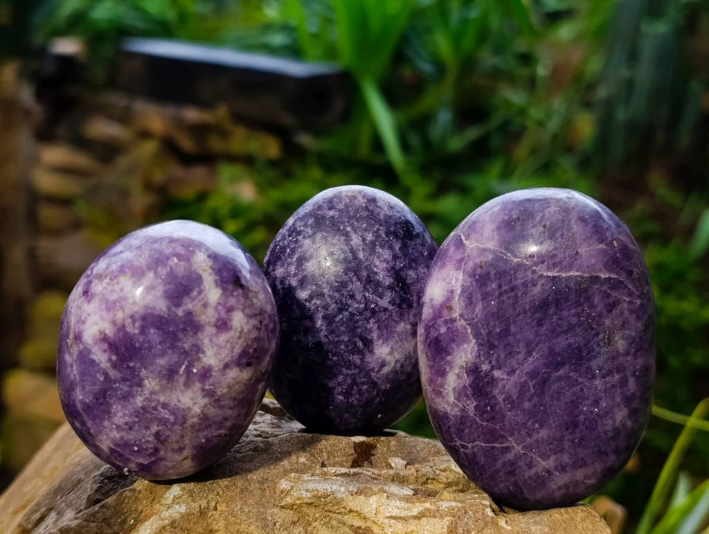 Polished Lepidolite Free Forms x 12 From Zimbabwe - Toprock Gemstones and Minerals 