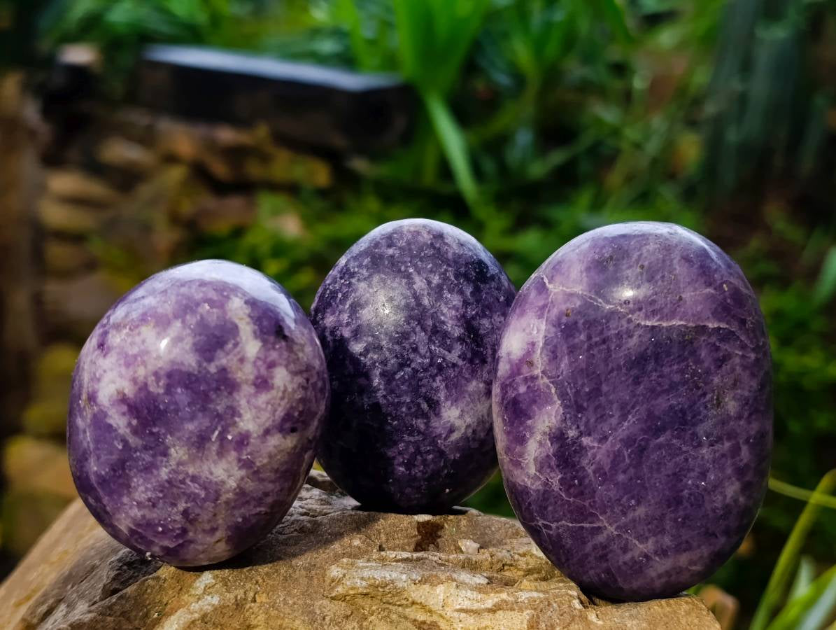 Polished Lepidolite Free Forms x 12 From Zimbabwe - Toprock Gemstones and Minerals 