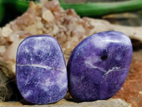 Polished Lepidolite Free Forms x 12 From Zimbabwe