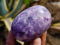 Polished Lepidolite Free Forms x 12 From Zimbabwe