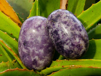 Polished Lepidolite Free Forms x 12 From Zimbabwe