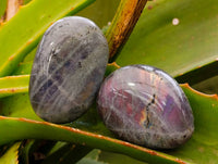 Polished Labradorite Galets x 35 From Tulear, Madagascar