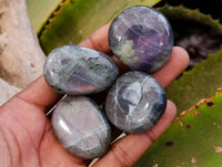 Polished Labradorite Galets x 35 From Tulear, Madagascar