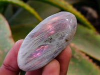 Polished Labradorite Galets x 35 From Tulear, Madagascar
