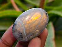 Polished Labradorite Galets x 35 From Tulear, Madagascar