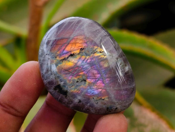 Polished Labradorite Galets x 35 From Tulear, Madagascar