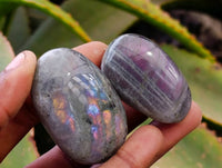 Polished Labradorite Galets x 35 From Tulear, Madagascar