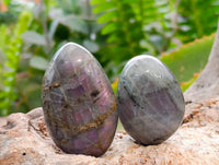 Polished Labradorite Galets x 35 From Tulear, Madagascar