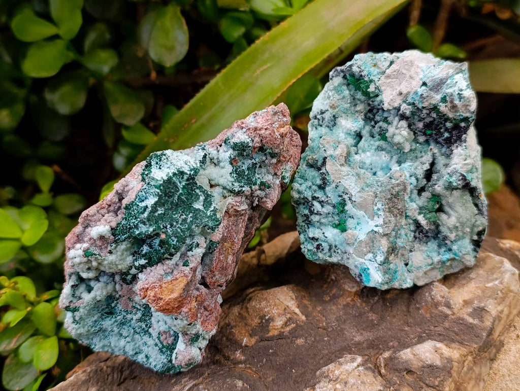 Natural Drusy Coated Chrysocolla with Malachite x 3 From Lupoto Mine, Congo - Toprock Gemstones and Minerals 