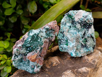 Natural Drusy Coated Chrysocolla with Malachite x 3 From Lupoto Mine, Congo