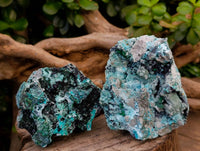 Natural Drusy Coated Chrysocolla with Malachite x 3 From Lupoto Mine, Congo