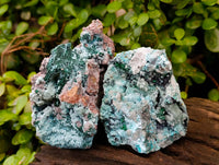 Natural Drusy Coated Chrysocolla with Malachite x 3 From Lupoto Mine, Congo