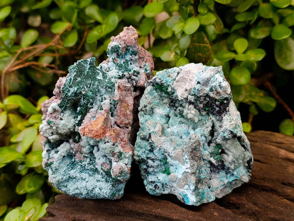 Natural Drusy Coated Chrysocolla with Malachite x 3 From Lupoto Mine, Congo