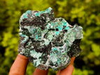 Natural Drusy Coated Chrysocolla with Malachite x 3 From Lupoto Mine, Congo - Toprock Gemstones and Minerals 
