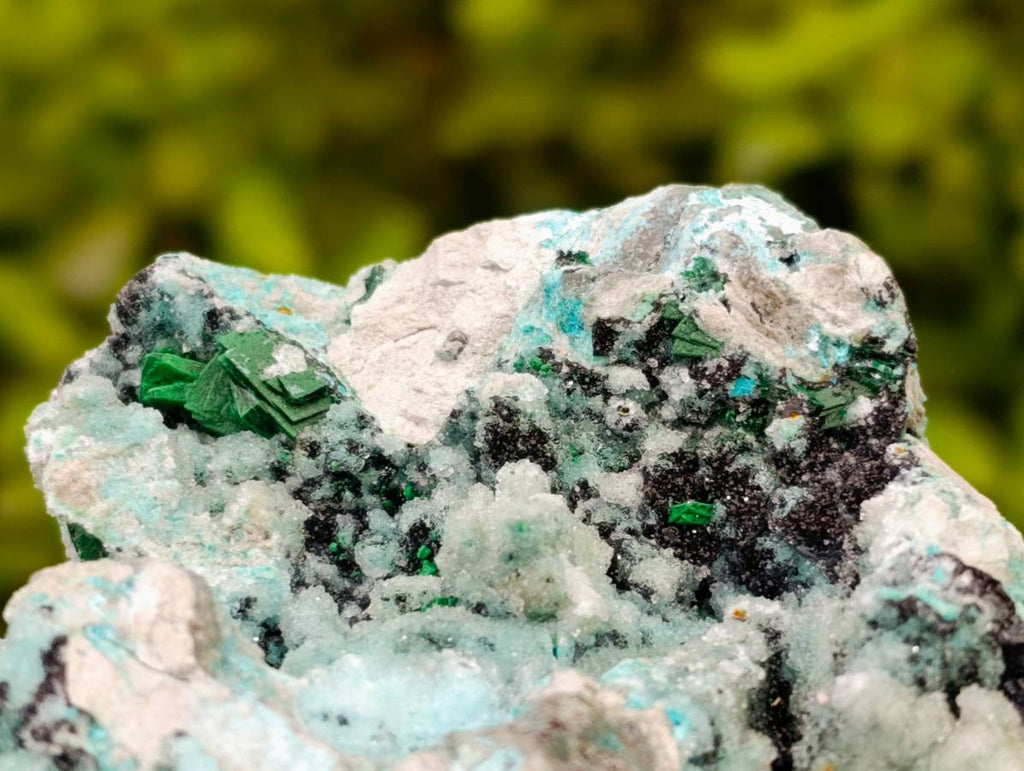 Natural Drusy Coated Chrysocolla with Malachite x 3 From Lupoto Mine, Congo - Toprock Gemstones and Minerals 