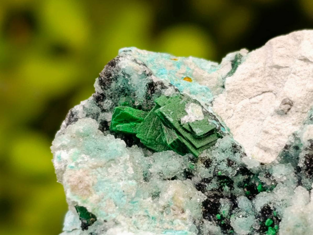 Natural Drusy Coated Chrysocolla with Malachite x 3 From Lupoto Mine, Congo - Toprock Gemstones and Minerals 