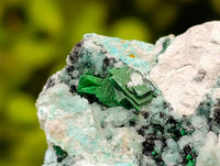 Natural Drusy Coated Chrysocolla with Malachite x 3 From Lupoto Mine, Congo