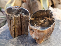 Polished On One Side Petrified Wood Branches x 3 From Gokwe, Zimbabwe