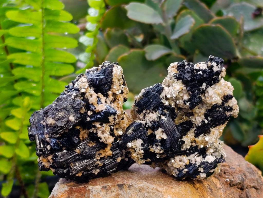 Natural Schorl Black Tourmaline Specimens x 35 From Erongo, Namibia - Toprock Gemstones and Minerals 